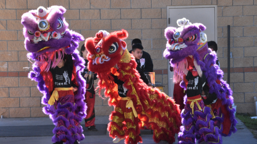 Lion Dance